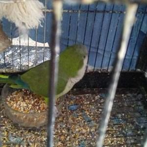 Meet your Posher, Ana